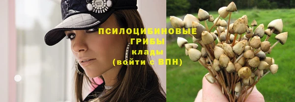 сатива Арсеньев