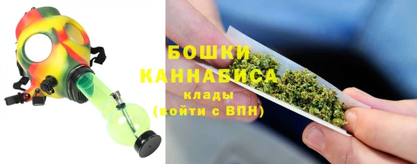 сатива Арсеньев